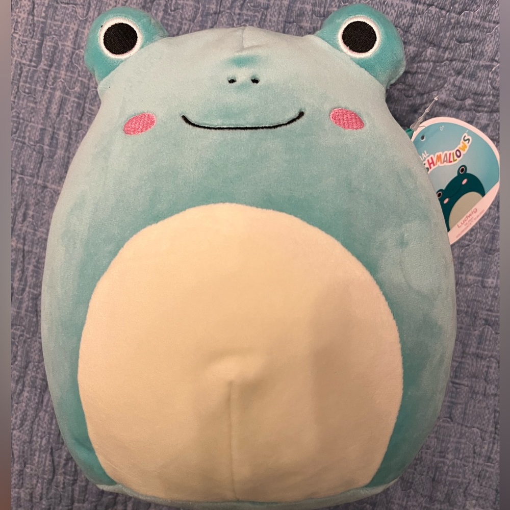 NWT Ludwig Squishmallow. 8 inch. Smoke free home.